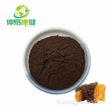 Chaga Mushroom Extract Powder 50% Polysaccharide